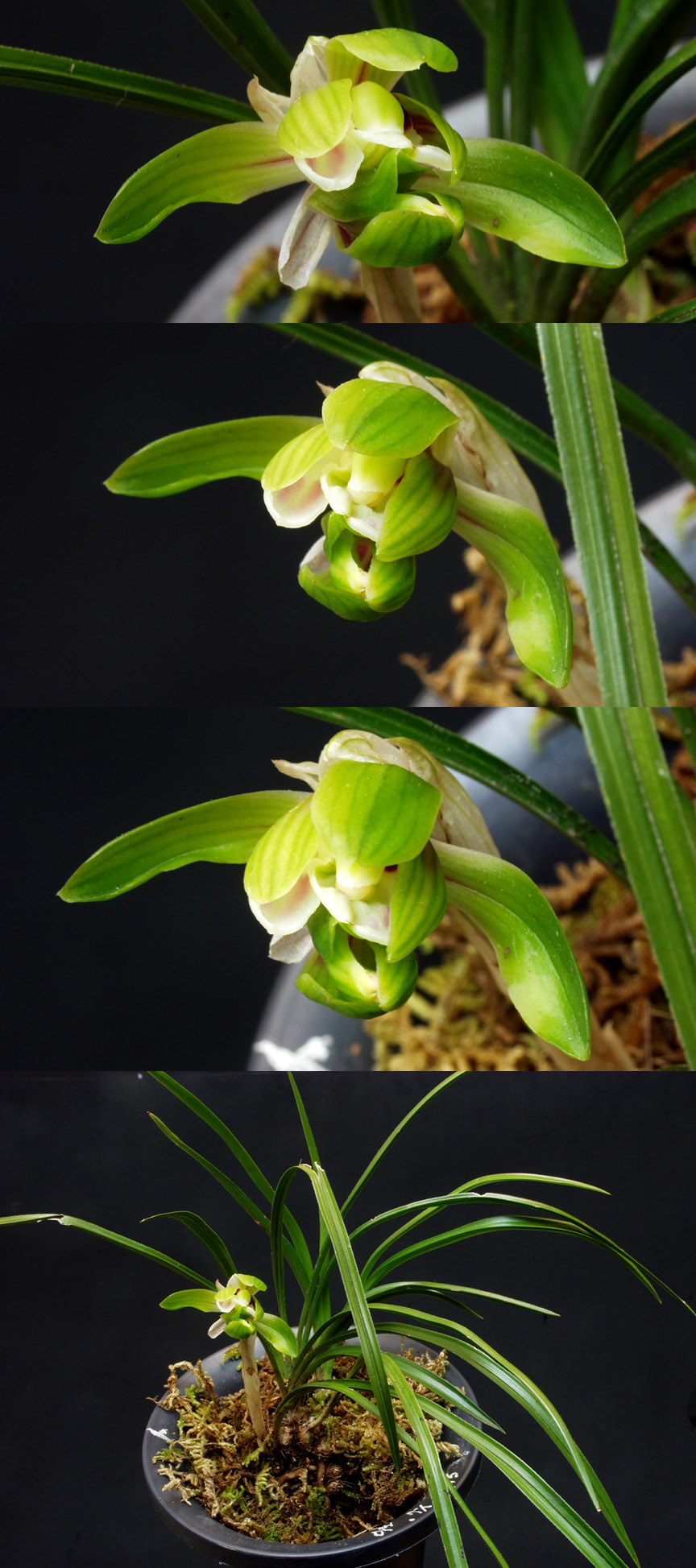 ������ ū������ �� �� �ֽ��ϴ�.