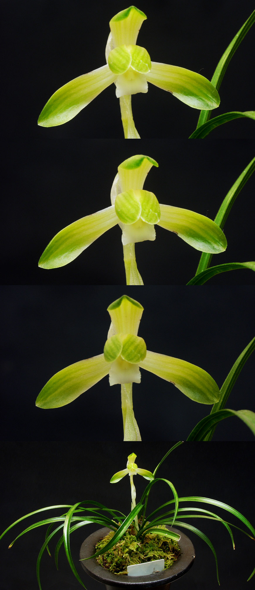 ������ ū������ �� �� �ֽ��ϴ�.