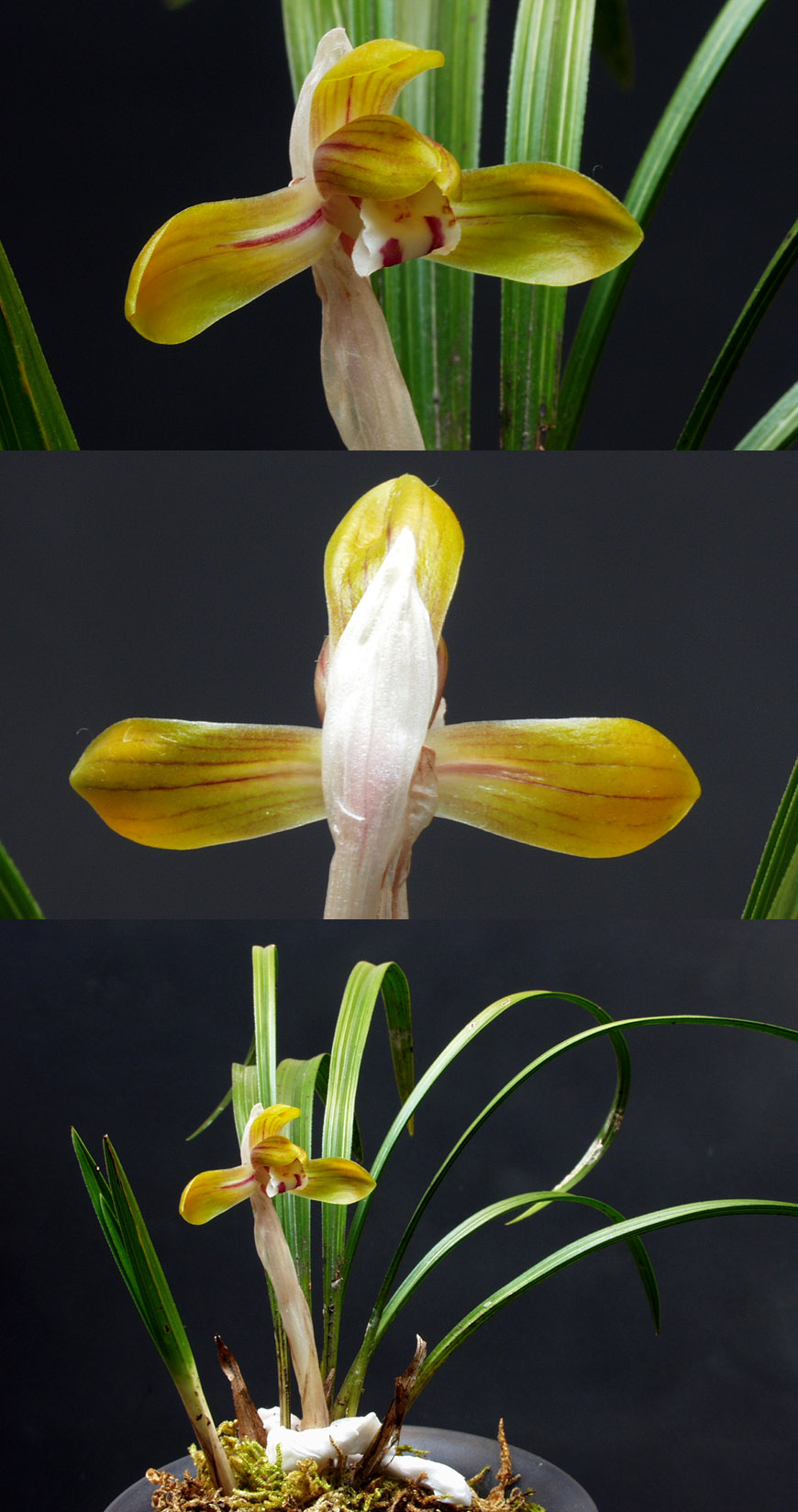 ������ ū������ �� �� �ֽ��ϴ�.