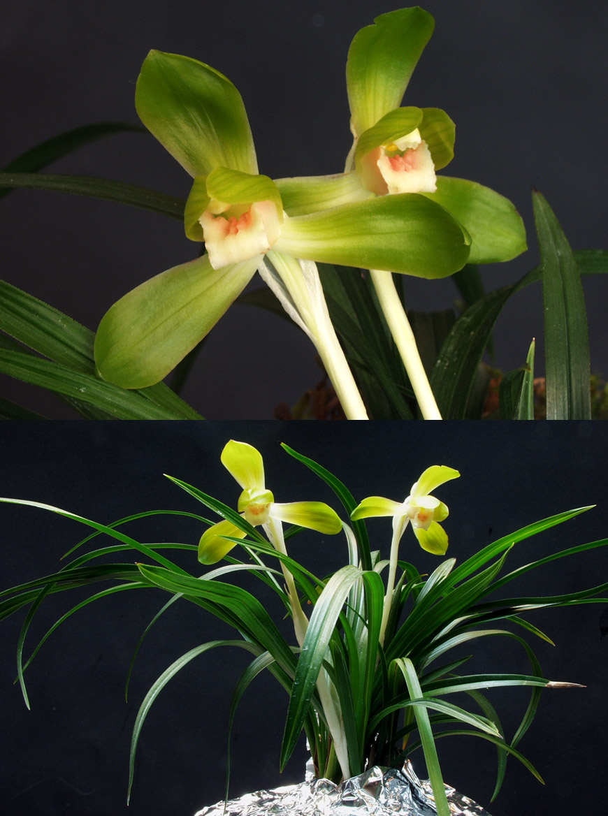 ������ ū������ �� �� �ֽ��ϴ�.