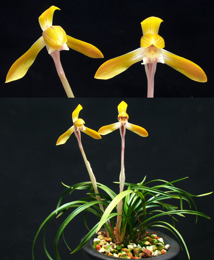 ������ ū������ �� �� �ֽ��ϴ�.