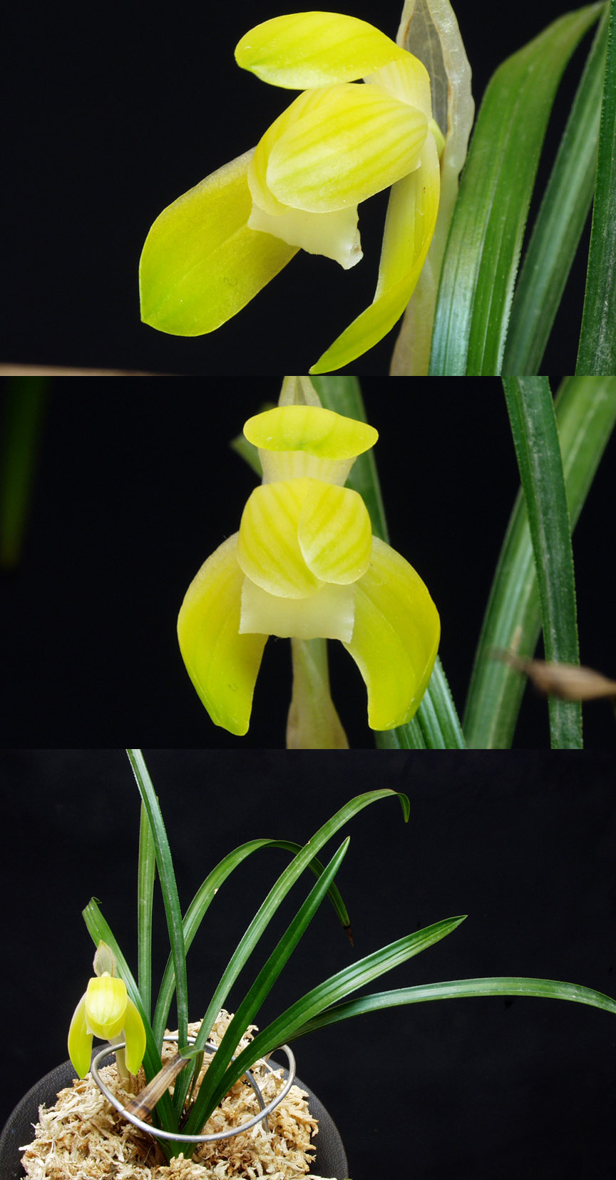 ������ ū������ �� �� �ֽ��ϴ�.