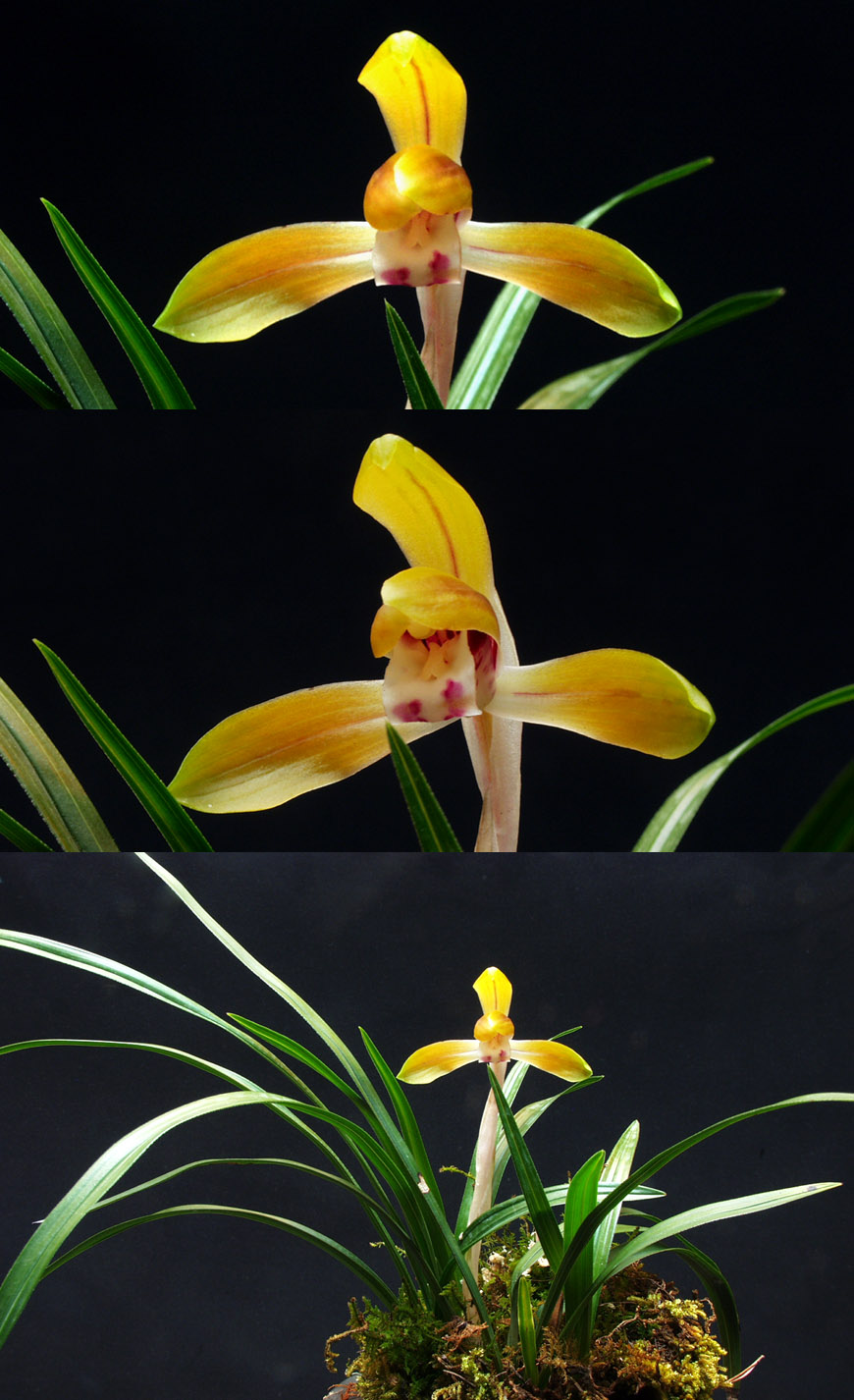 ������ ū������ �� �� �ֽ��ϴ�.