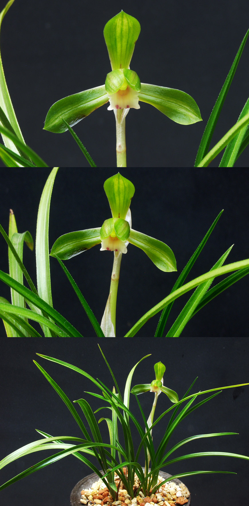 ������ ū������ �� �� �ֽ��ϴ�.