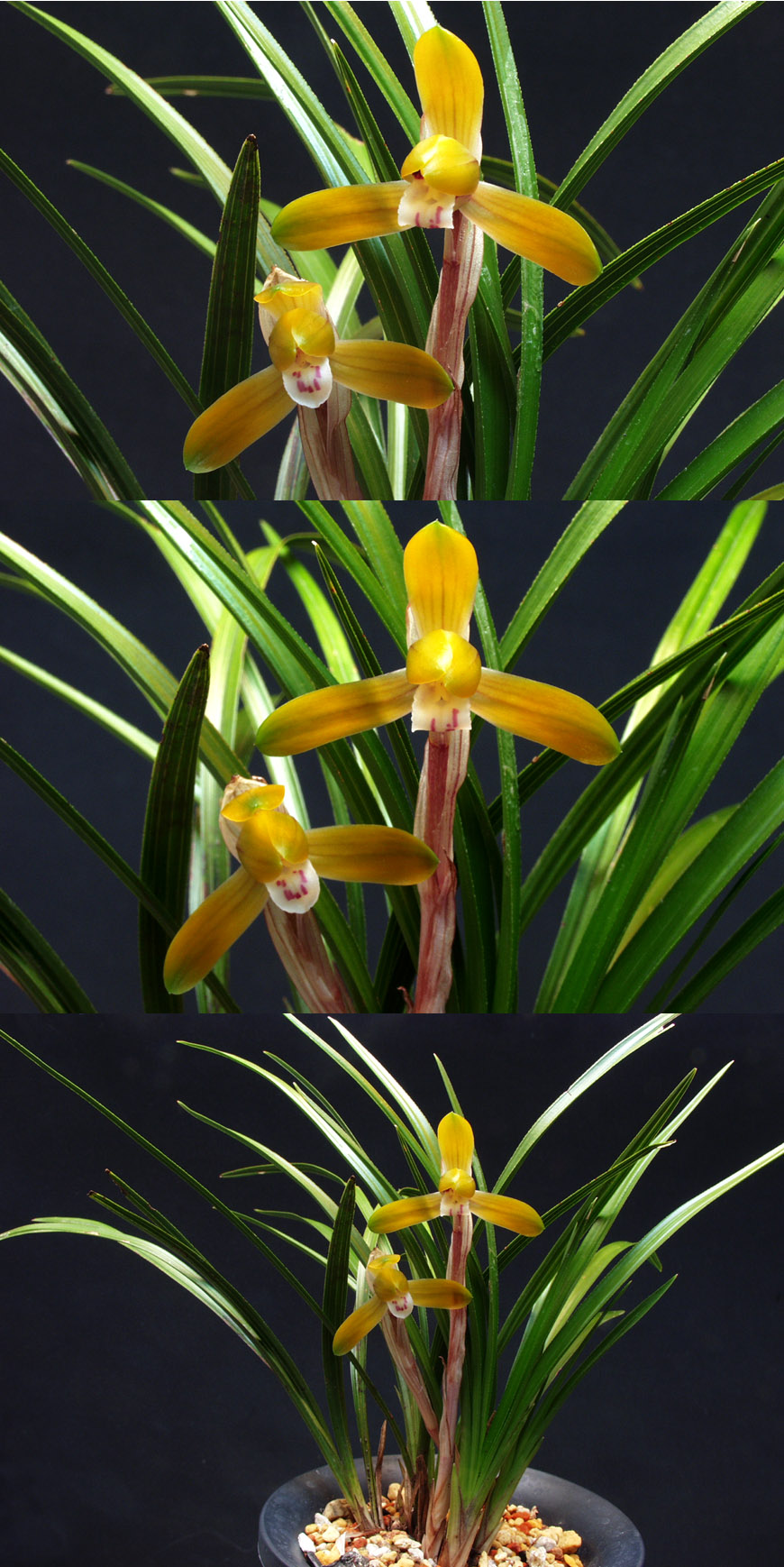 ������ ū������ �� �� �ֽ��ϴ�.