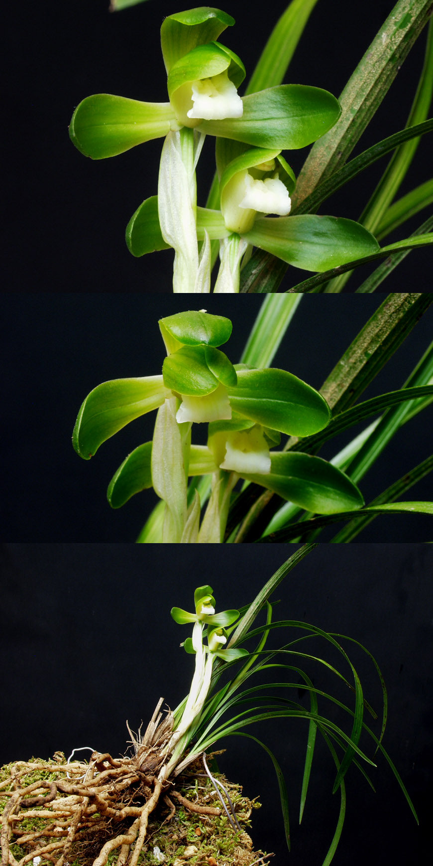 ������ ū������ �� �� �ֽ��ϴ�.