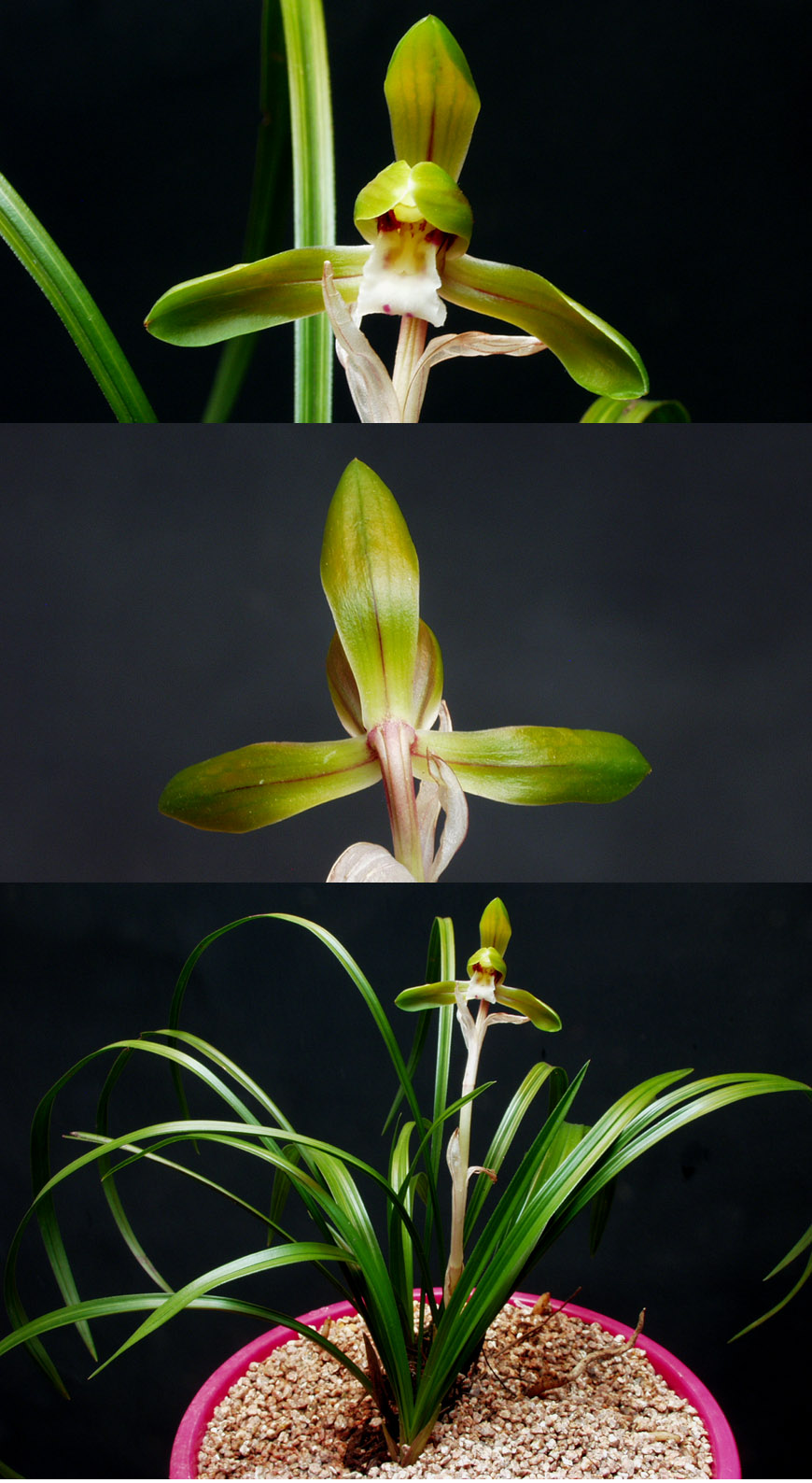 ������ ū������ �� �� �ֽ��ϴ�.