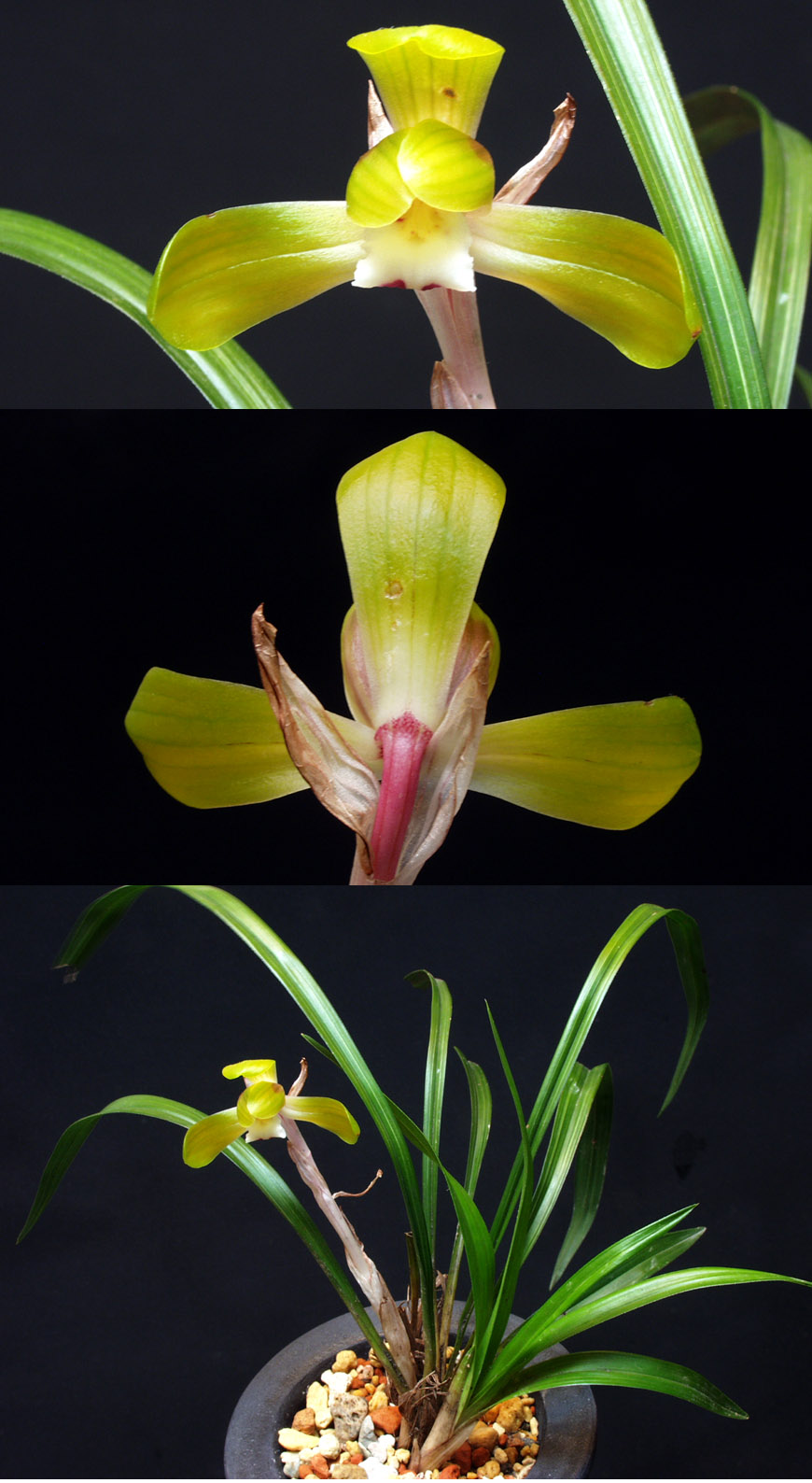 ������ ū������ �� �� �ֽ��ϴ�.