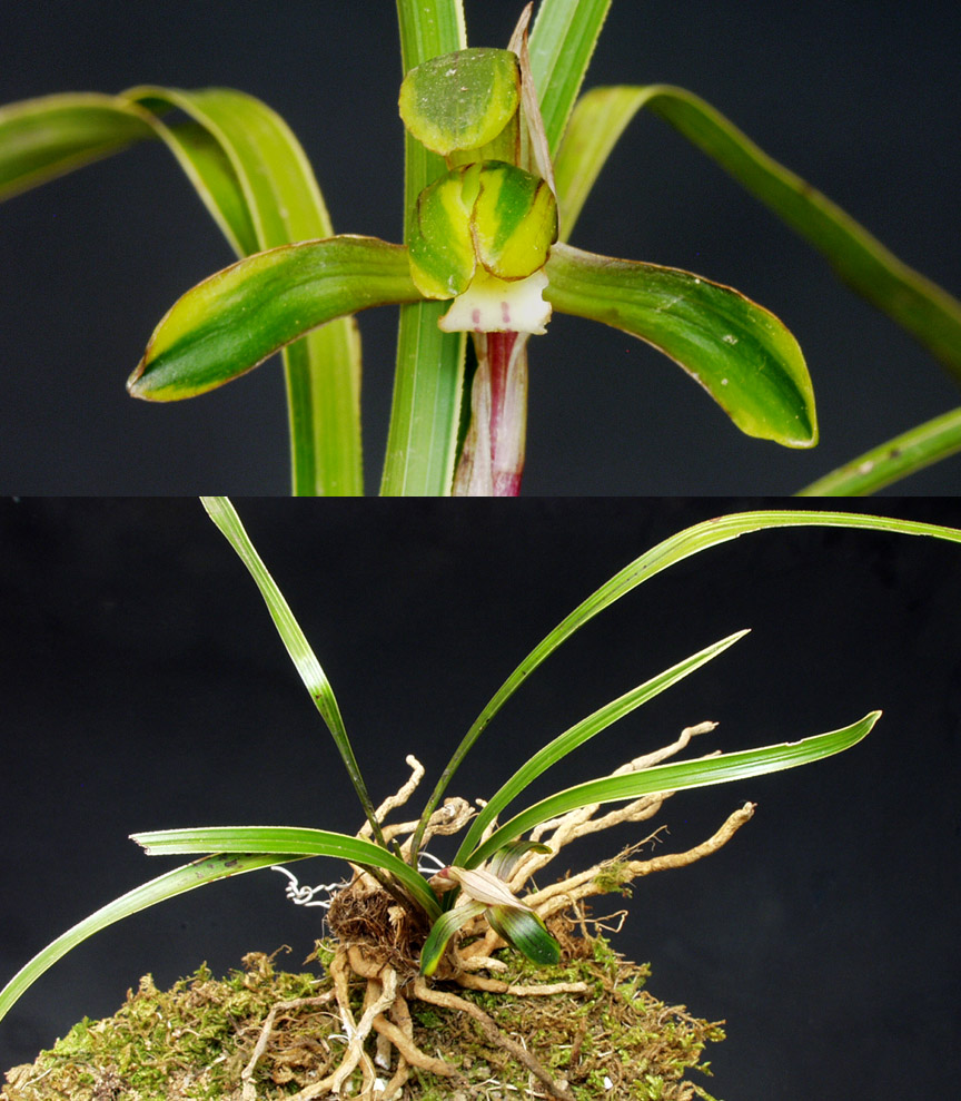 ������ ū������ �� �� �ֽ��ϴ�.