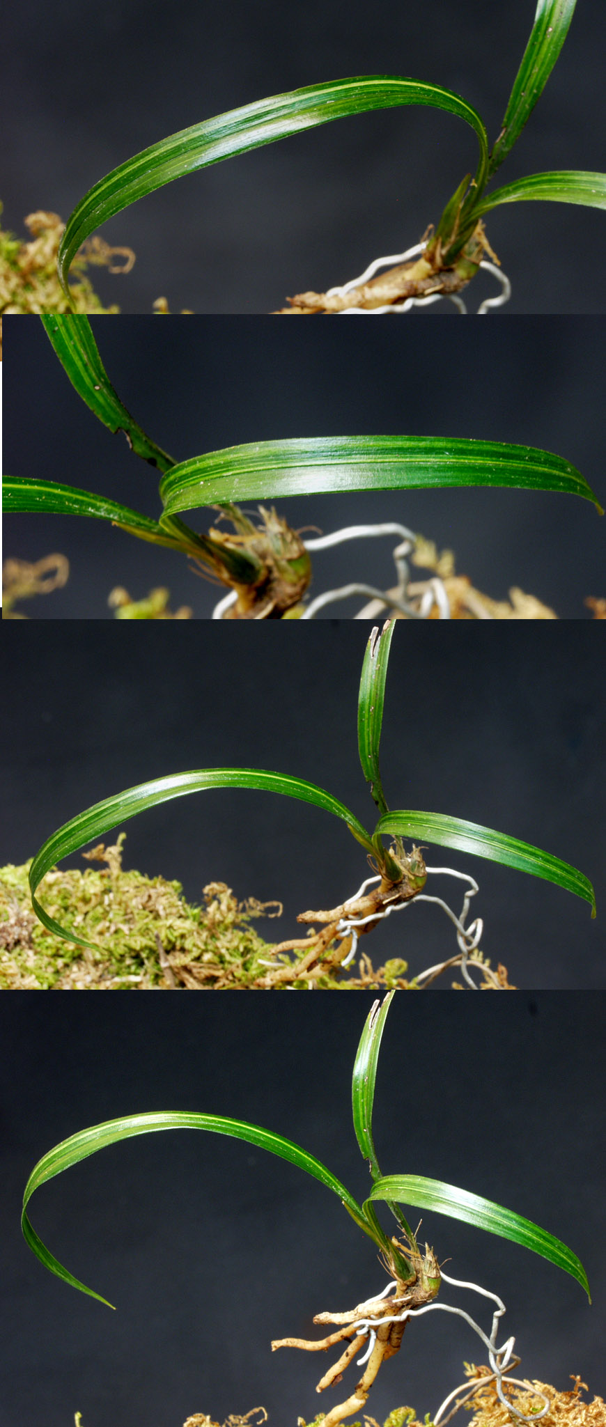 ������ ū������ �� �� �ֽ��ϴ�.