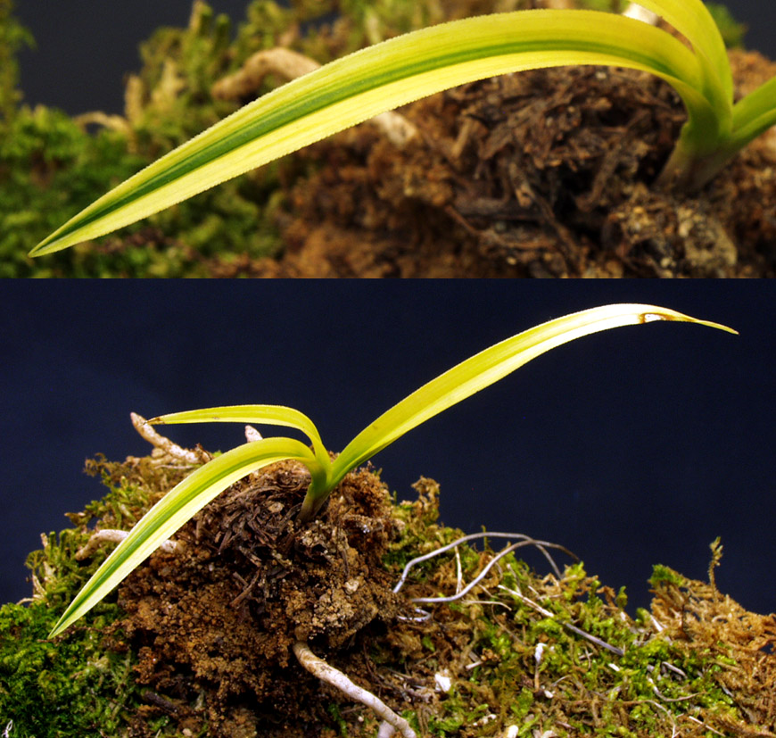 ������ ū������ �� �� �ֽ��ϴ�.