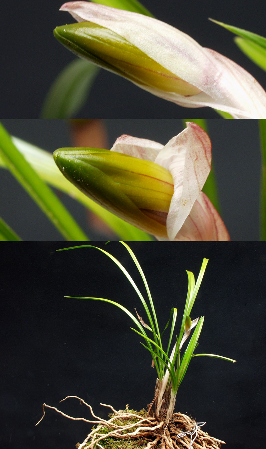 ������ ū������ �� �� �ֽ��ϴ�.