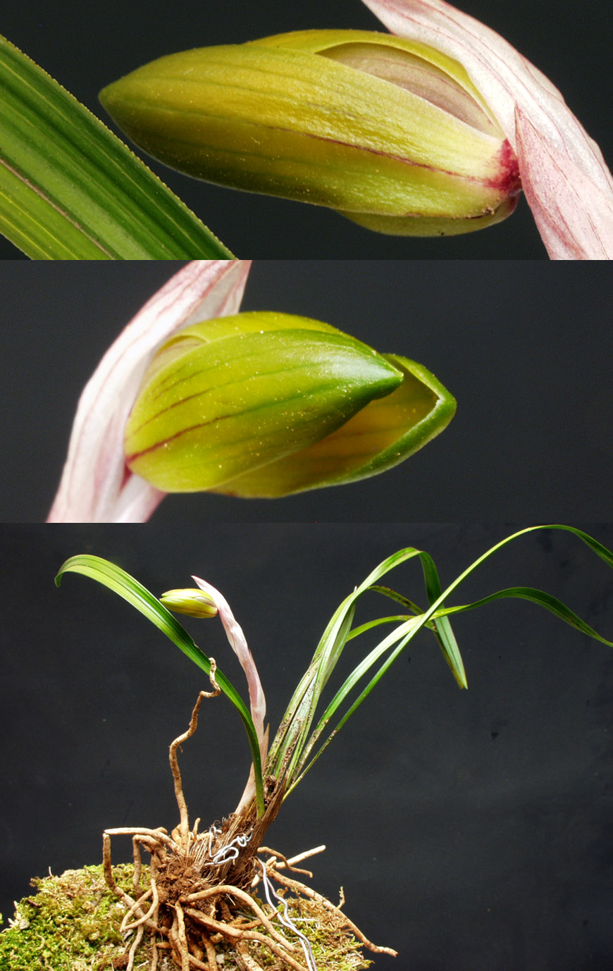 ������ ū������ �� �� �ֽ��ϴ�.