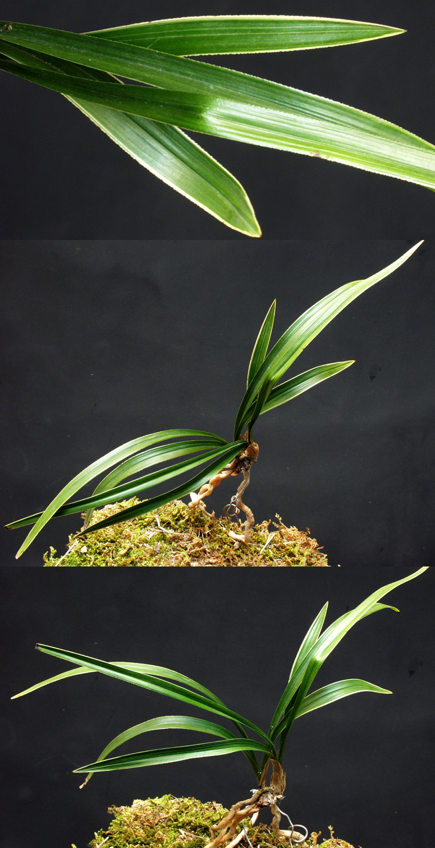 ������ ū������ �� �� �ֽ��ϴ�.