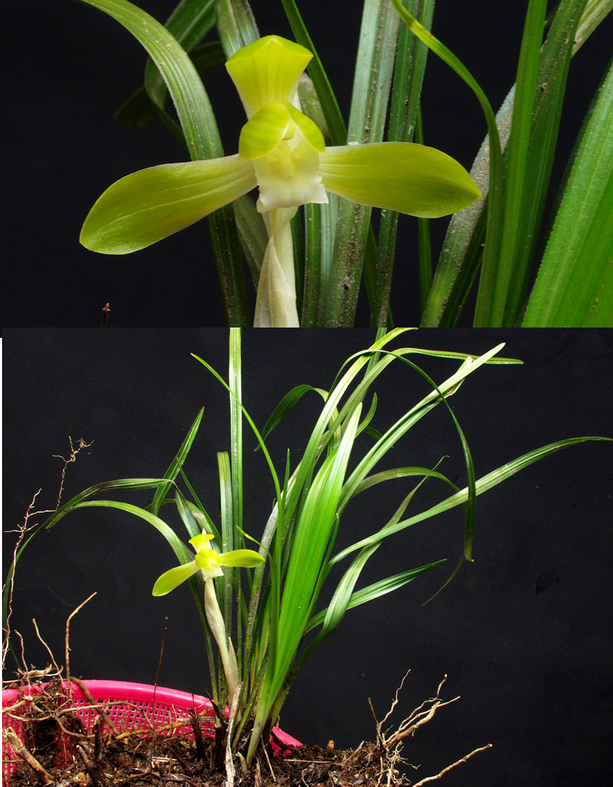 ������ ū������ �� �� �ֽ��ϴ�.