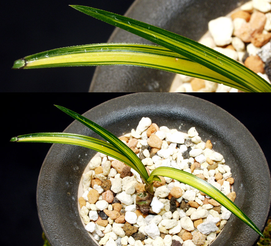 ������ ū������ �� �� �ֽ��ϴ�.