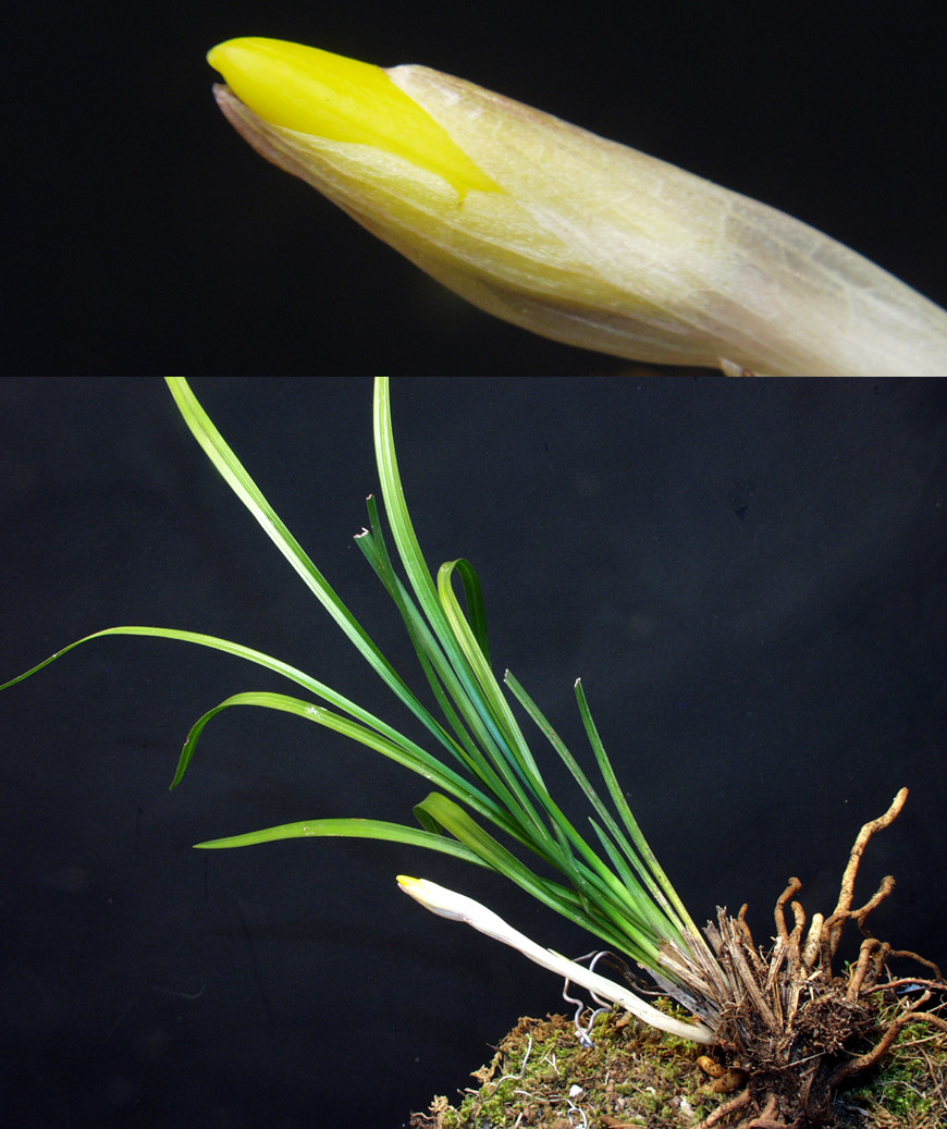 ������ ū������ �� �� �ֽ��ϴ�.