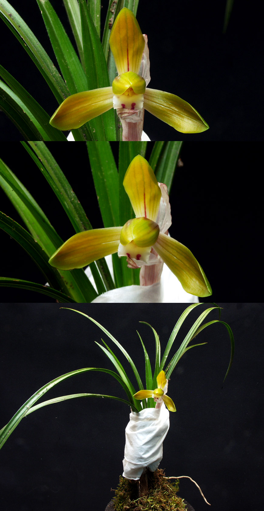 ������ ū������ �� �� �ֽ��ϴ�.