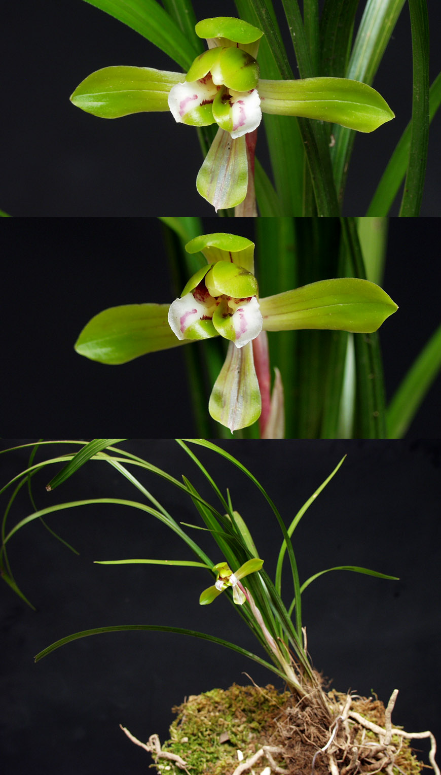 ������ ū������ �� �� �ֽ��ϴ�.