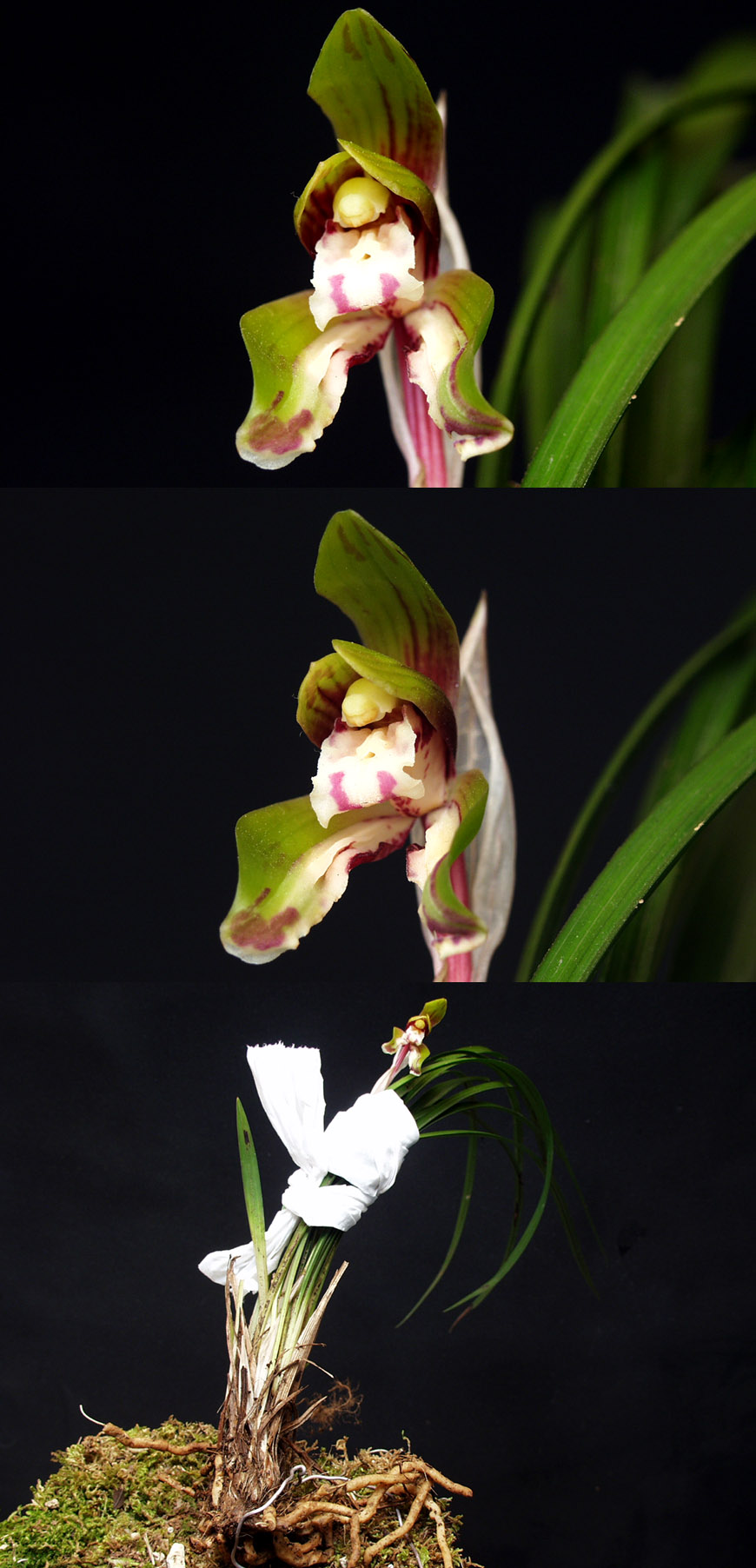 ������ ū������ �� �� �ֽ��ϴ�.