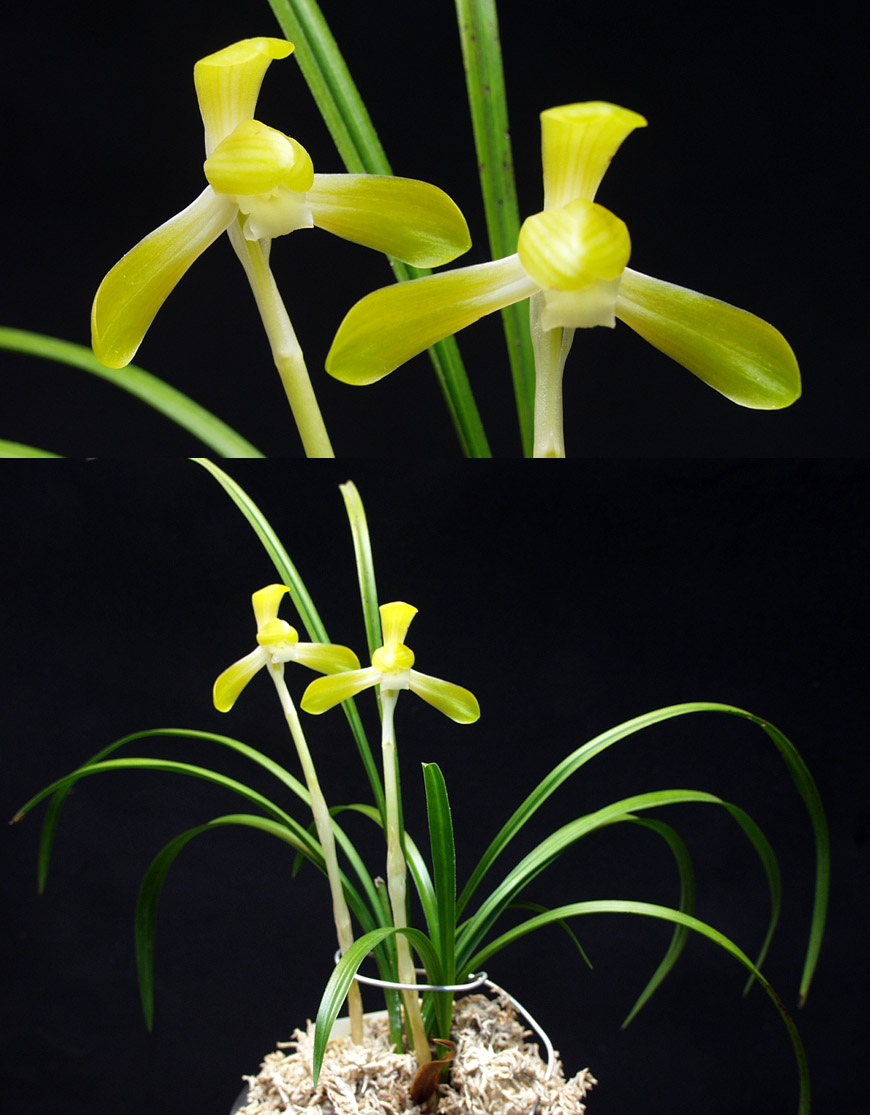 ������ ū������ �� �� �ֽ��ϴ�.