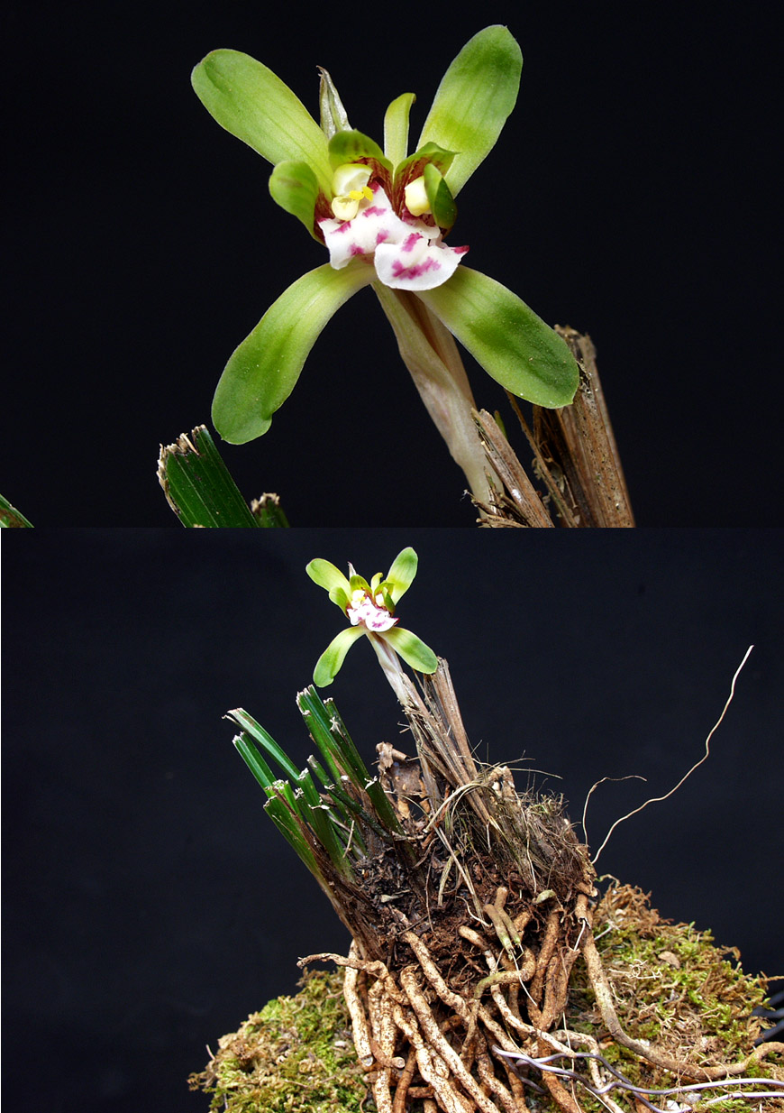 ������ ū������ �� �� �ֽ��ϴ�.