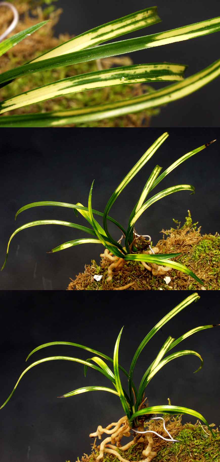 ������ ū������ �� �� �ֽ��ϴ�.