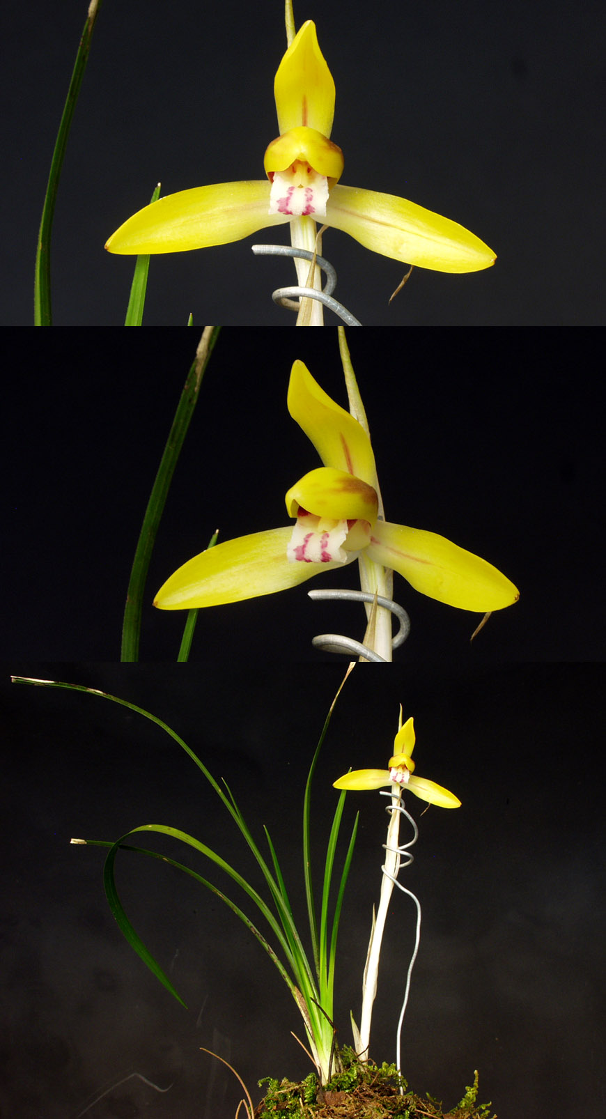 ������ ū������ �� �� �ֽ��ϴ�.