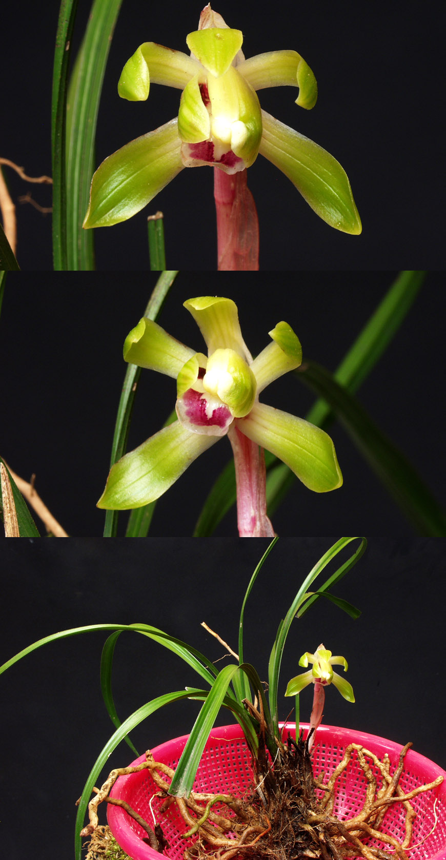 ������ ū������ �� �� �ֽ��ϴ�.