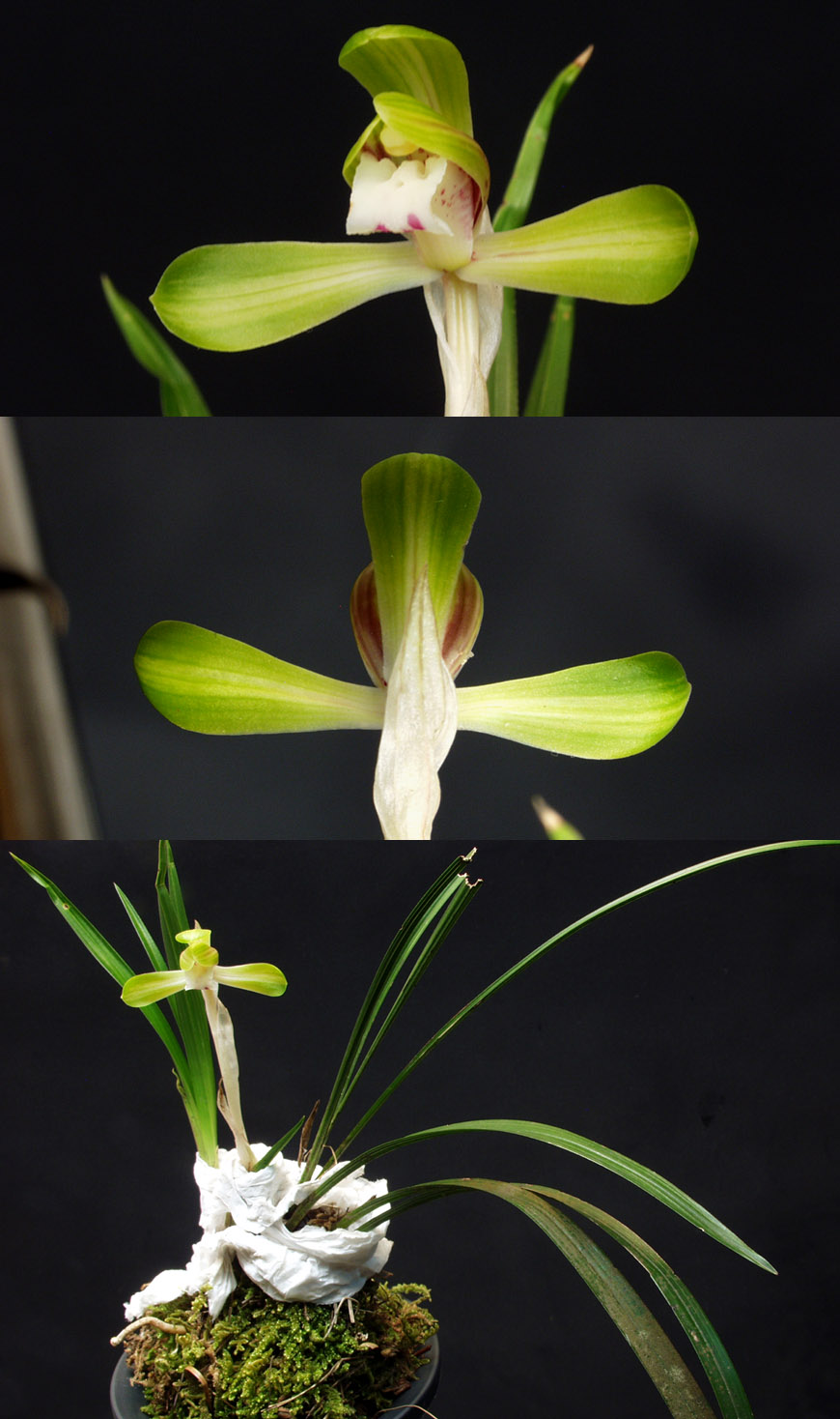 ������ ū������ �� �� �ֽ��ϴ�.