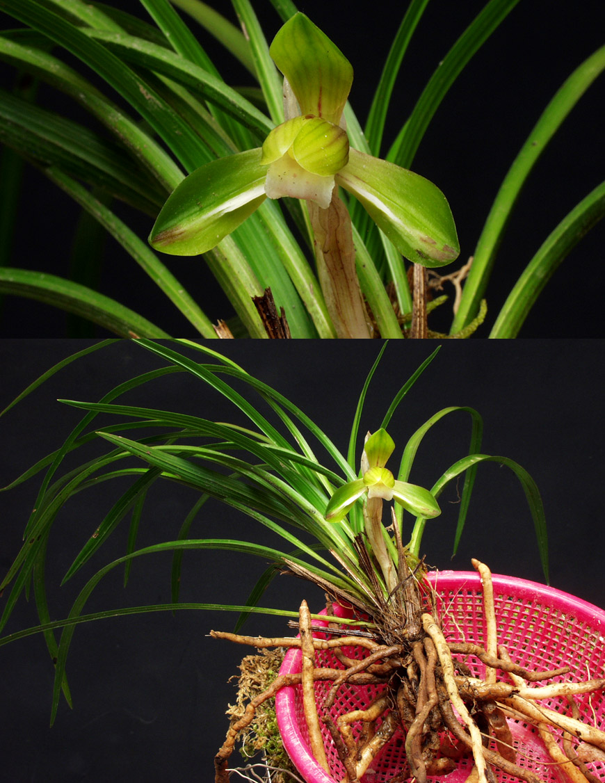 ������ ū������ �� �� �ֽ��ϴ�.