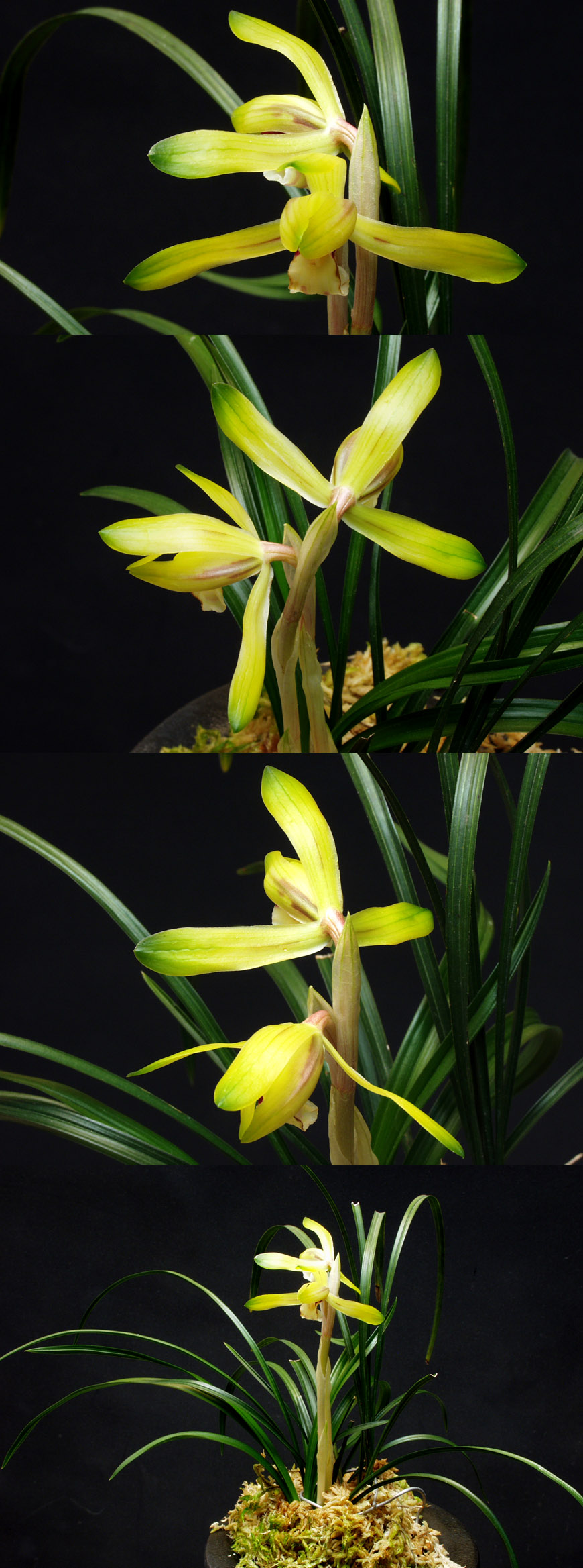 ������ ū������ �� �� �ֽ��ϴ�.