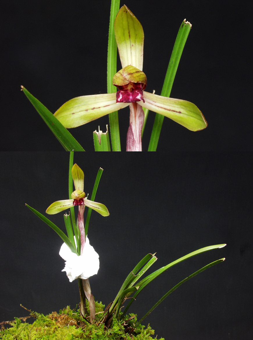 ������ ū������ �� �� �ֽ��ϴ�.