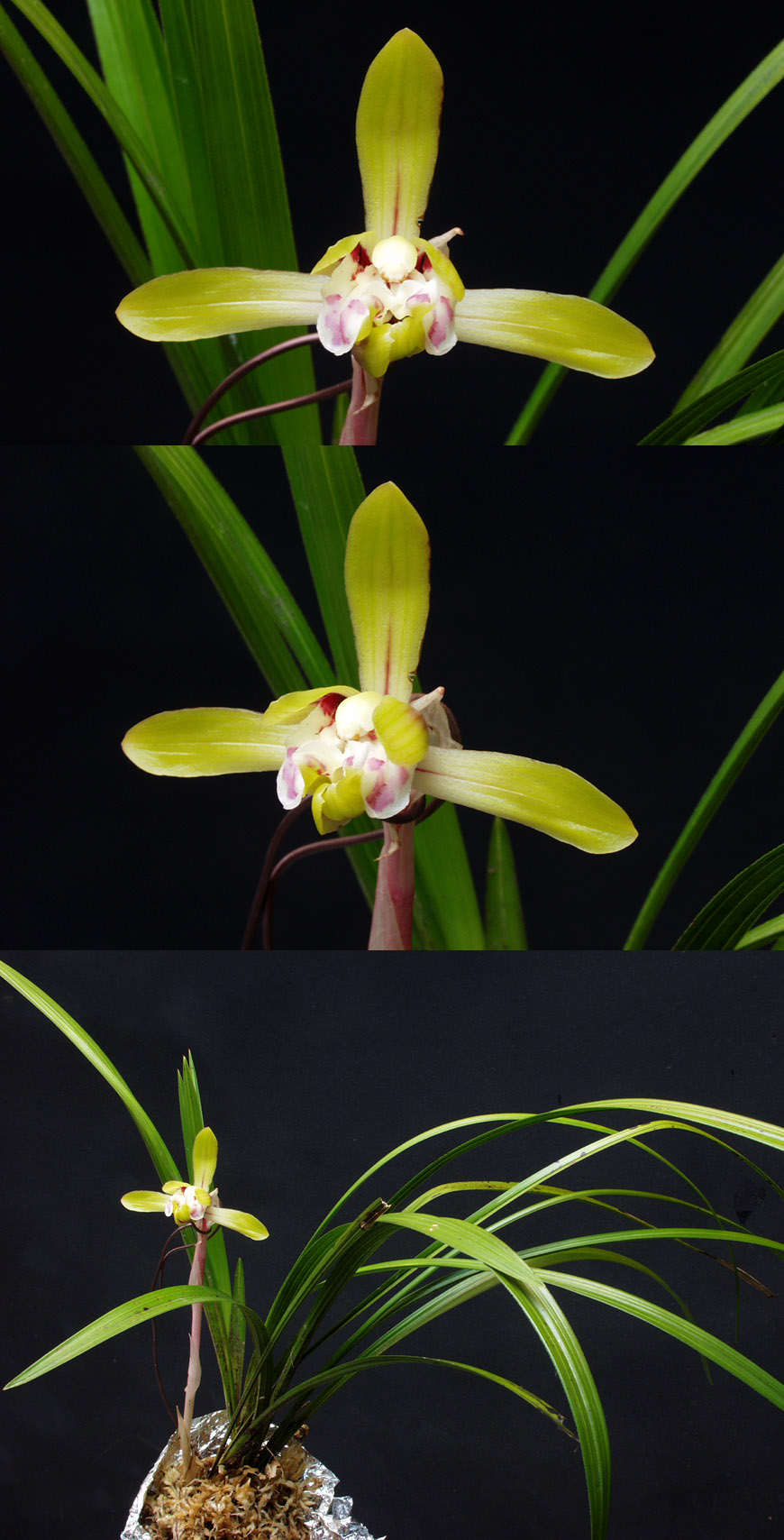 ������ ū������ �� �� �ֽ��ϴ�.