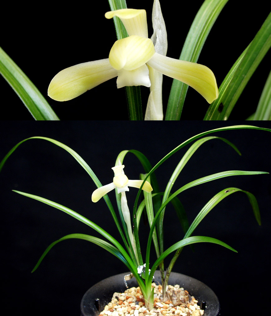 ������ ū������ �� �� �ֽ��ϴ�.