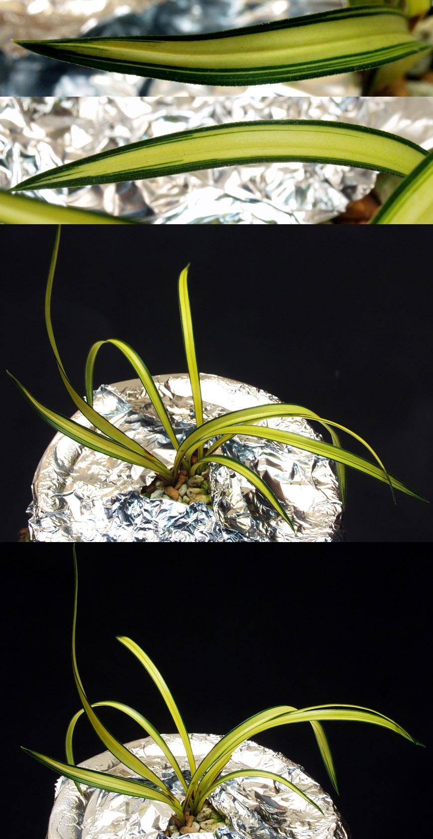 ������ ū������ �� �� �ֽ��ϴ�.