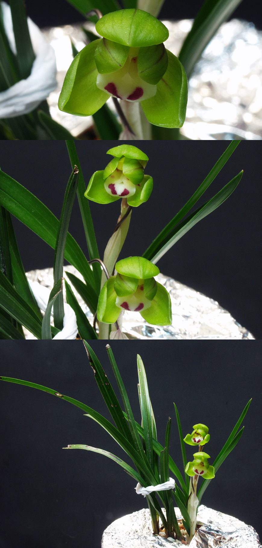 ������ ū������ �� �� �ֽ��ϴ�.