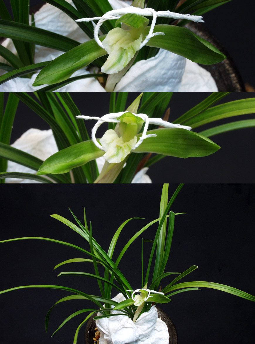 ������ ū������ �� �� �ֽ��ϴ�.