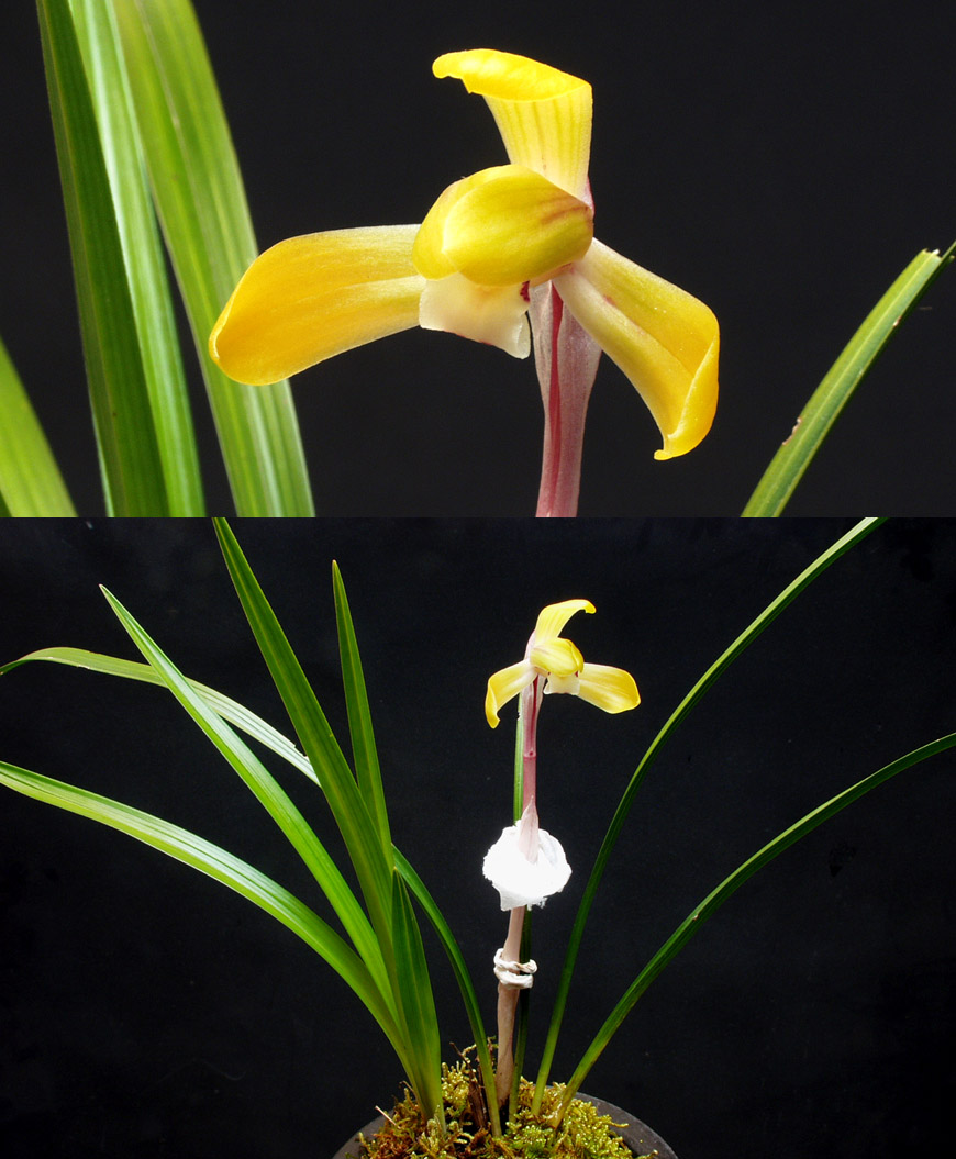 ������ ū������ �� �� �ֽ��ϴ�.