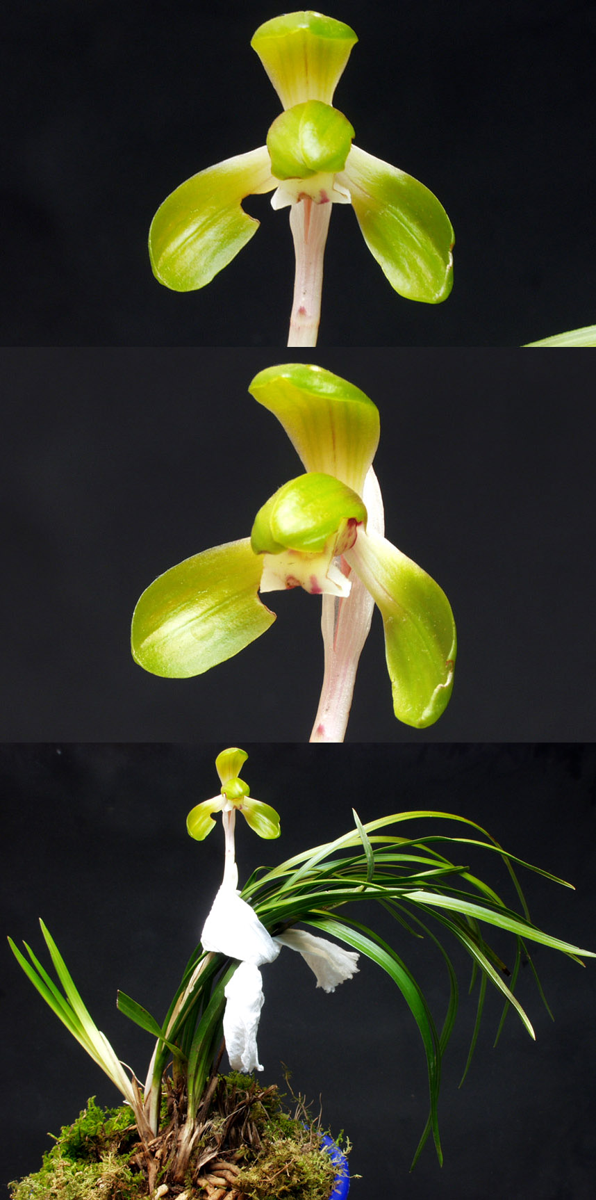 ������ ū������ �� �� �ֽ��ϴ�.