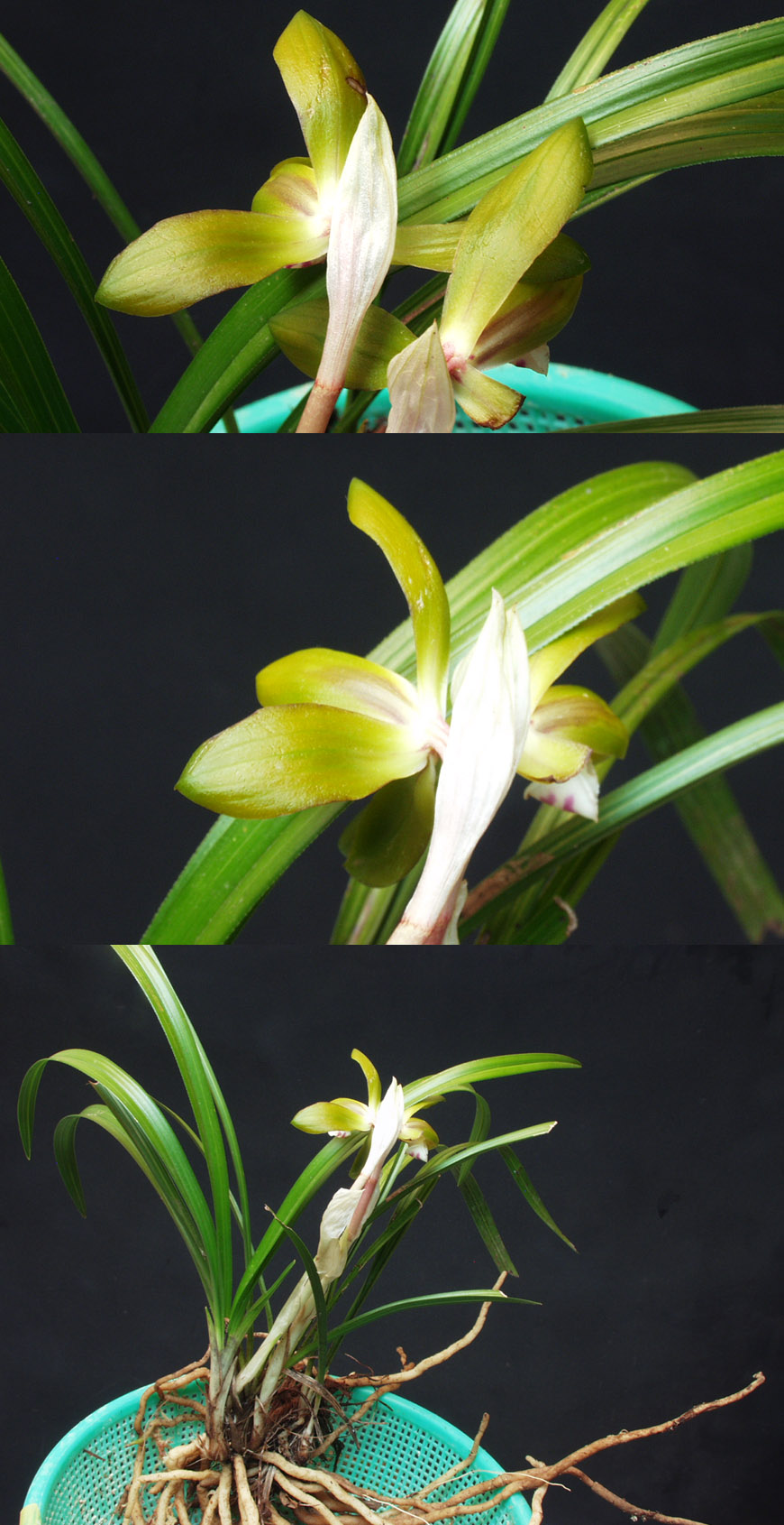 ������ ū������ �� �� �ֽ��ϴ�.