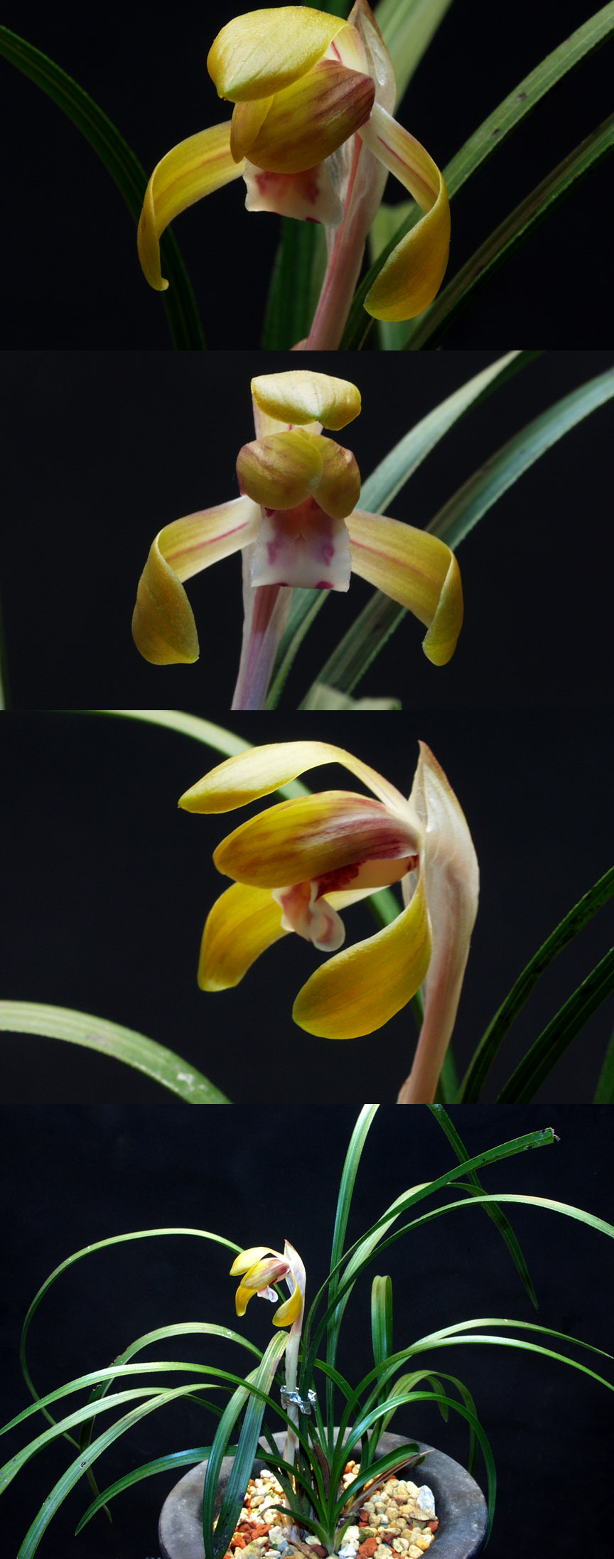 ������ ū������ �� �� �ֽ��ϴ�.