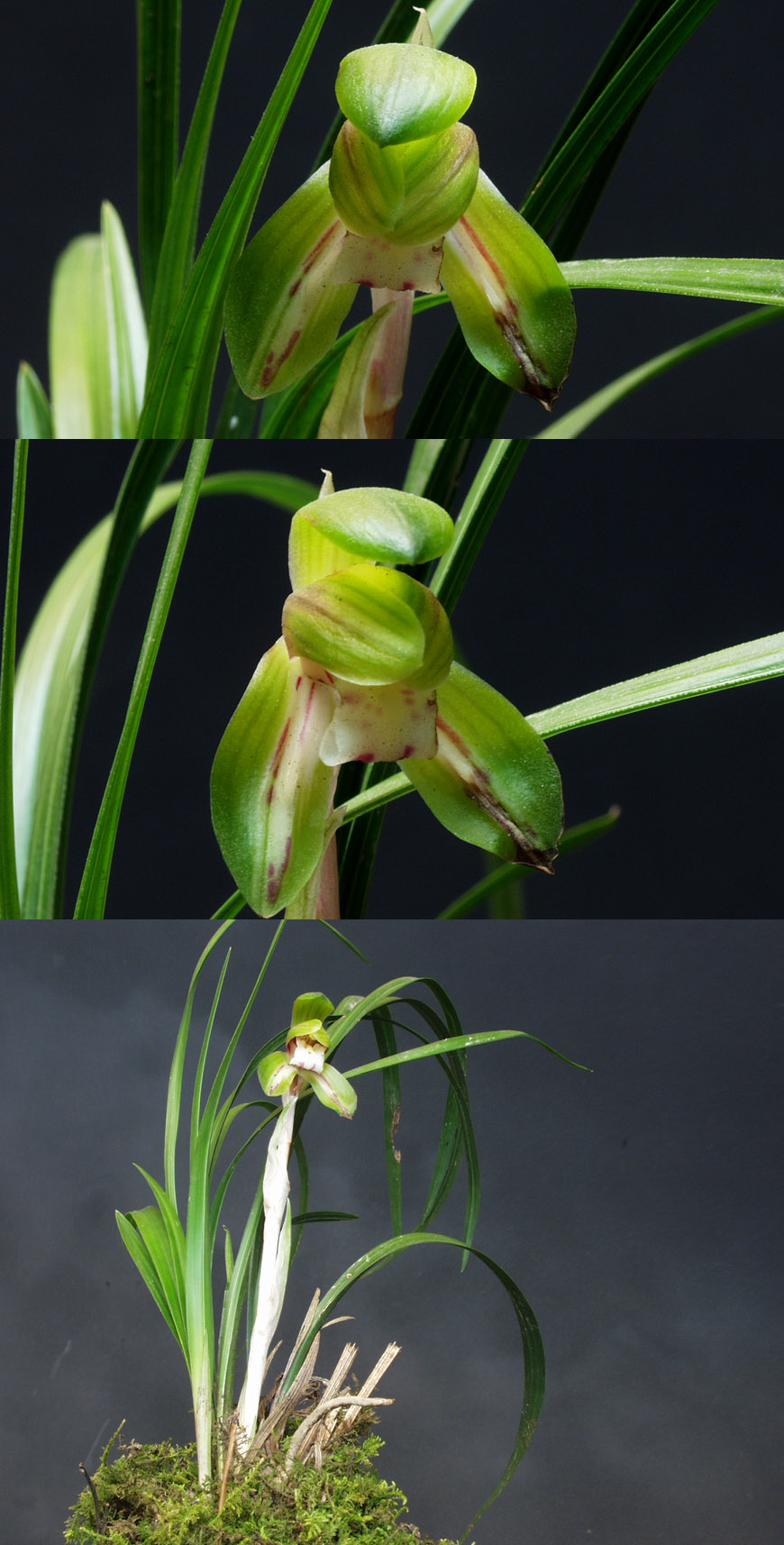 ������ ū������ �� �� �ֽ��ϴ�.