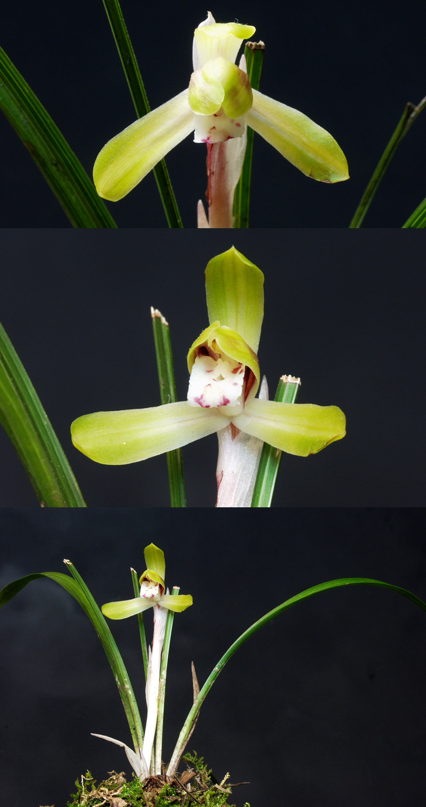 ������ ū������ �� �� �ֽ��ϴ�.