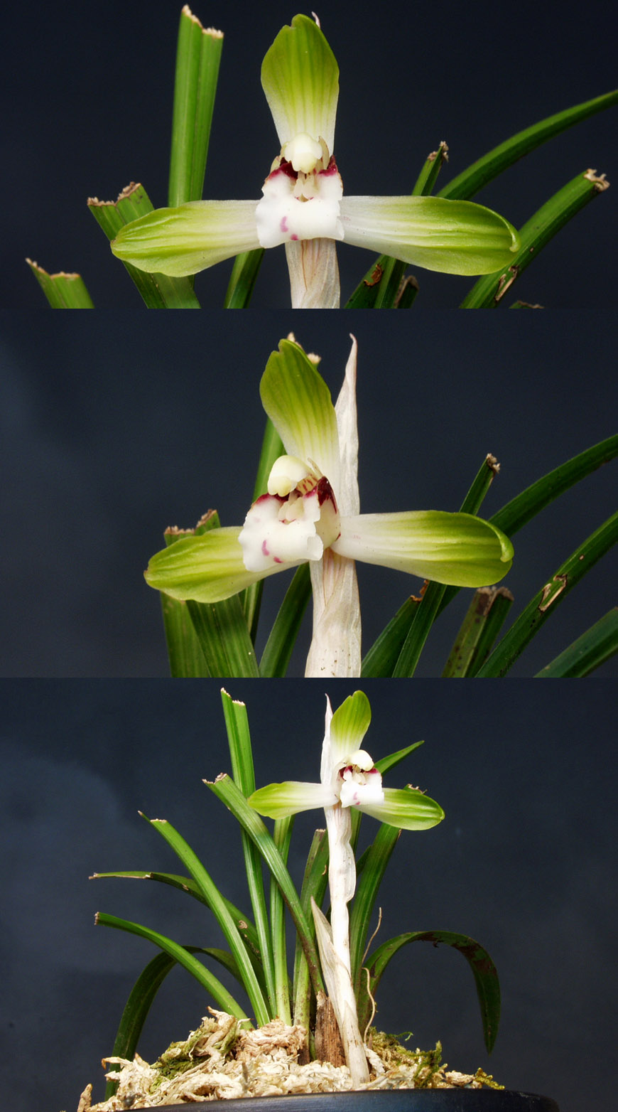 ������ ū������ �� �� �ֽ��ϴ�.