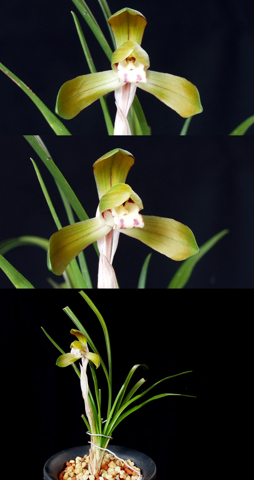 ������ ū������ �� �� �ֽ��ϴ�.