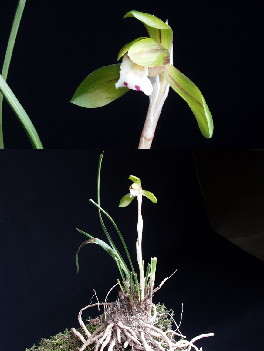 ������ ū������ �� �� �ֽ��ϴ�.