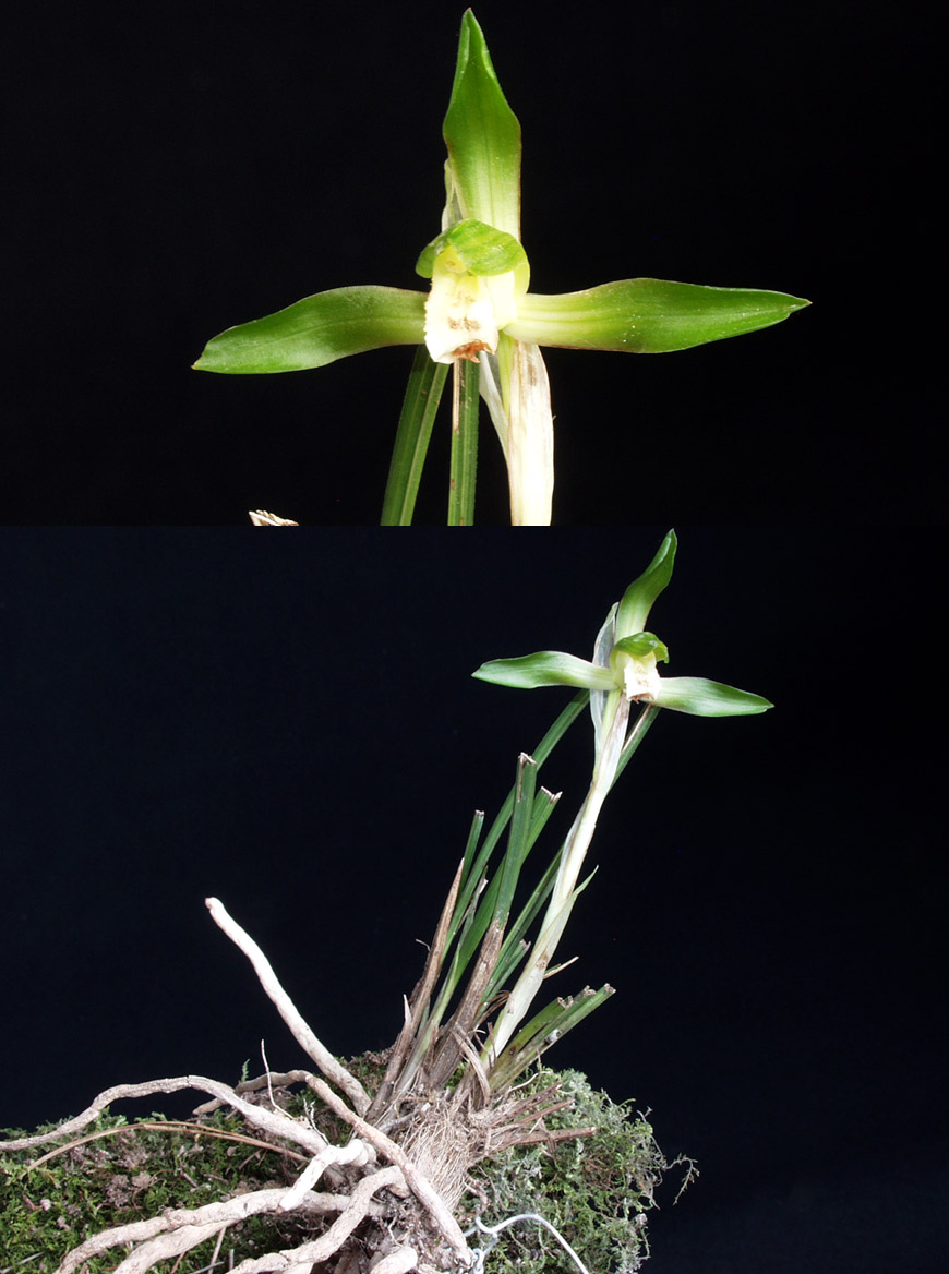 ������ ū������ �� �� �ֽ��ϴ�.