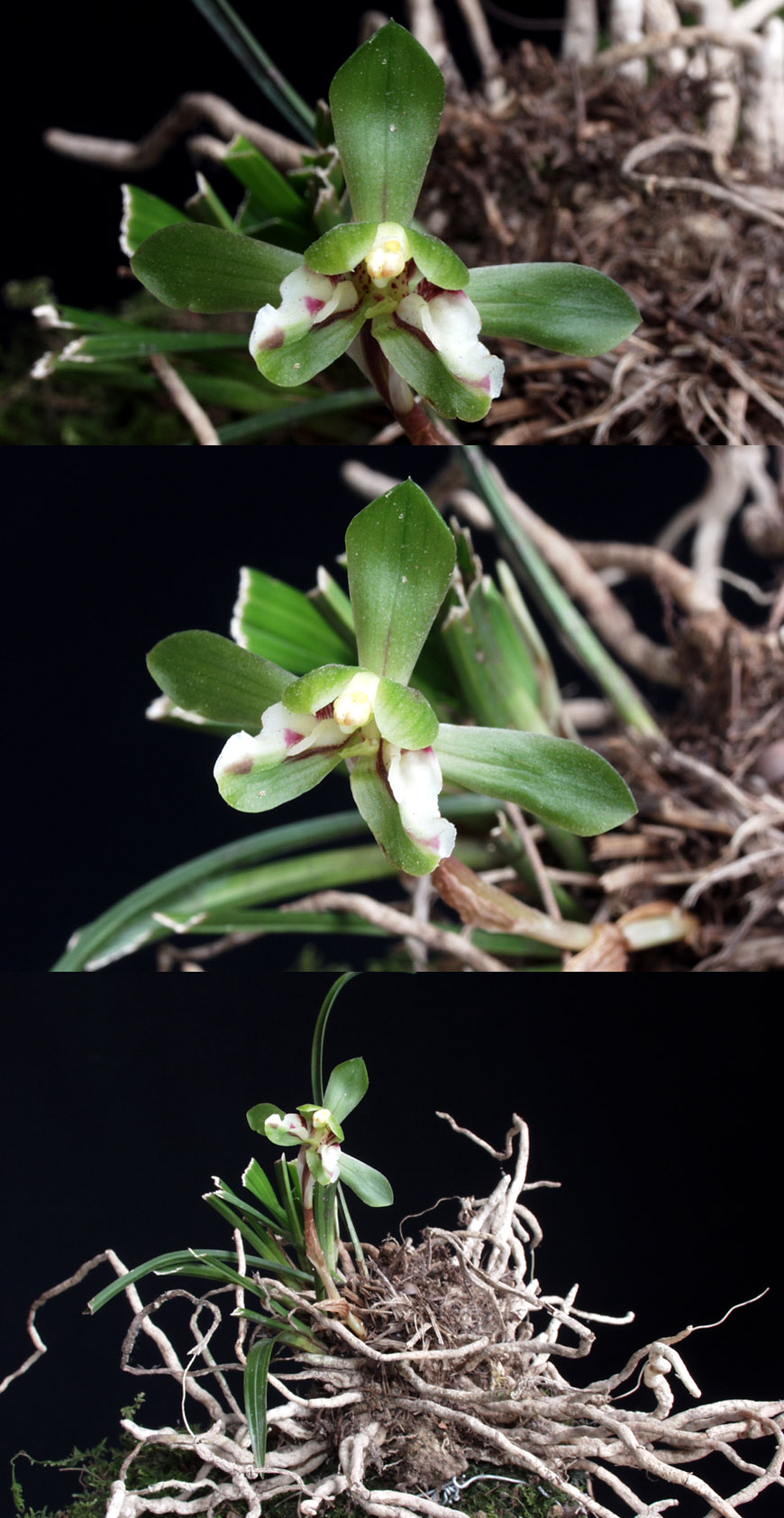 ������ ū������ �� �� �ֽ��ϴ�.