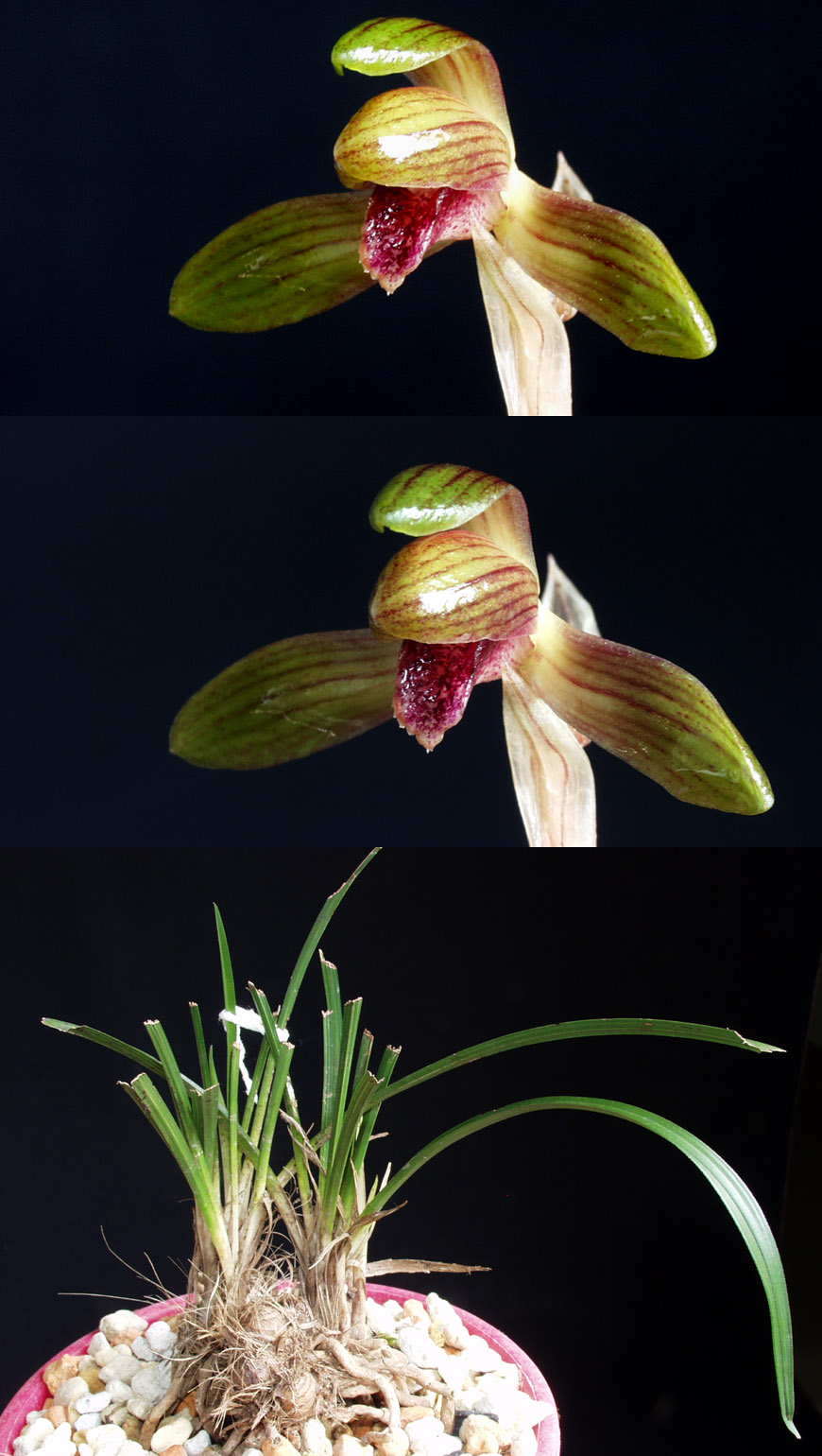 ������ ū������ �� �� �ֽ��ϴ�.